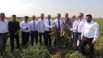 Bursa politika haberi: TDP Genel Başkanı Sarıgül, Karacabey'de domates üreticileriyle bir araya geldi