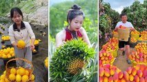 Fruit is beautiful | Girl collecting fruits | Drink juice | Lovely Fruits Channel | Indian video | new video India | Amazing fruits in asia