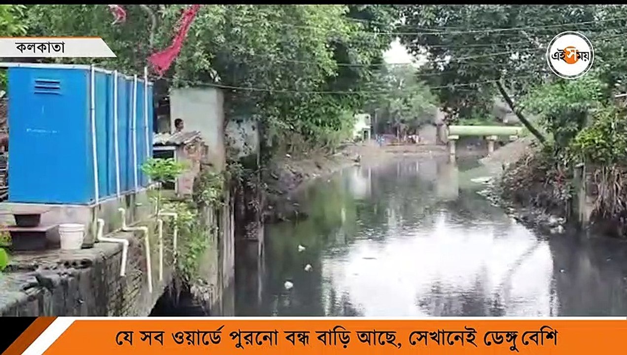 ডেঙ্গু প্রতিরোধে সচেতন KMC, যা বললেন মেয়র