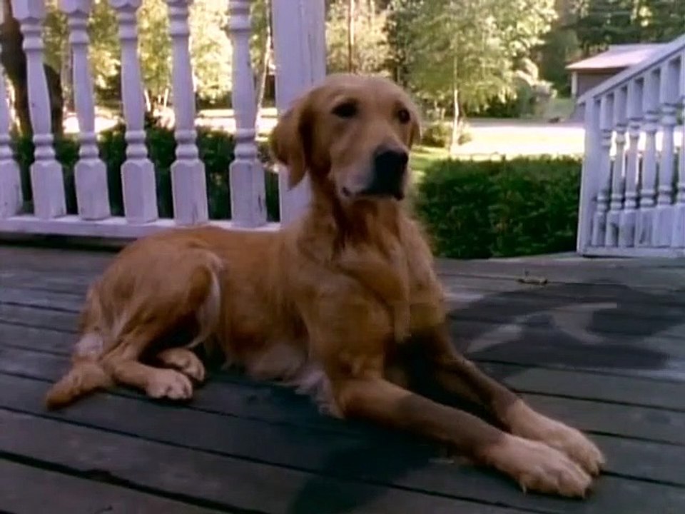 Gänsehaut - Die Stunde der Geister Staffel 2 Folge 10 HD Deutsch