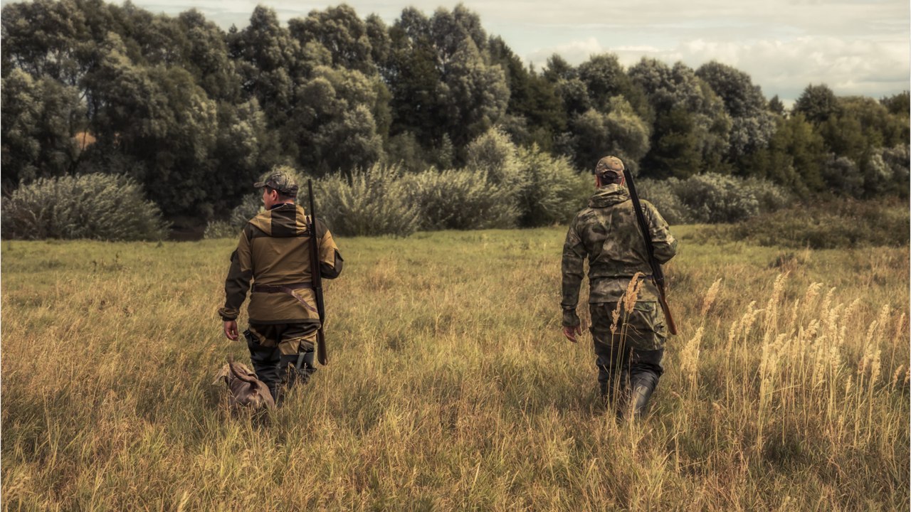 Les subventions accordées à la Fédération nationale des chasseurs en hausse de... 23.000 % depuis 2017