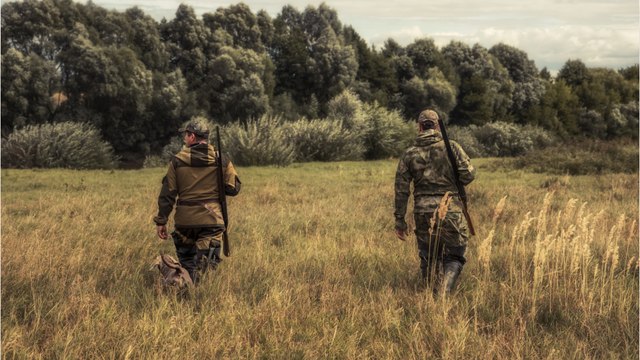 Les subventions accordées à la Fédération nationale des chasseurs en hausse de... 23.000 % depuis 2017