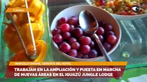 Trabajan en la ampliación y puesta en marcha de nuevas áreas en el Iguazú Jungle Lodge