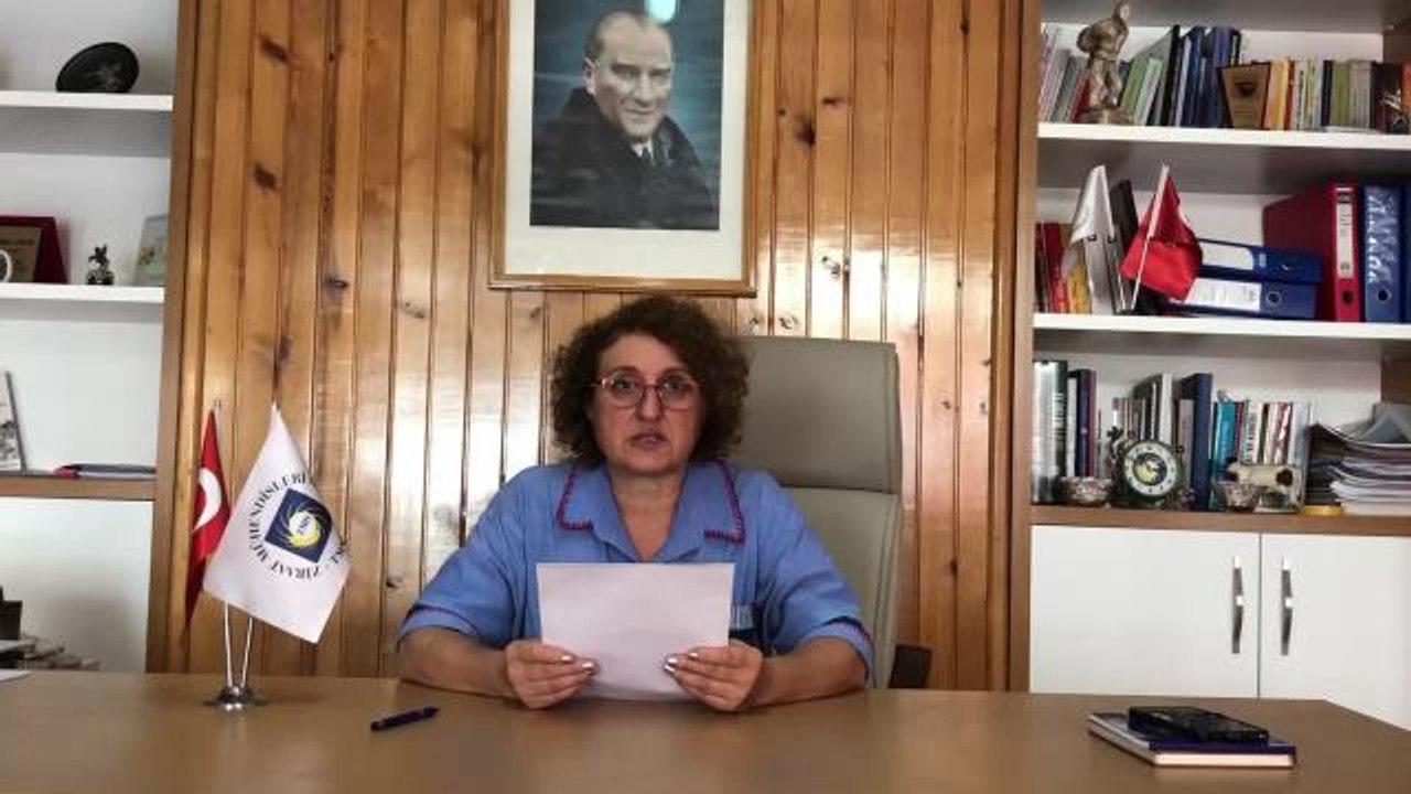 Samsun haber! Zmo Samsun Şubesi: "Bafra Meyve-Sebze Hali Arazisi İçin Ova Dışında Alternatif Alan Araştırılmalı"