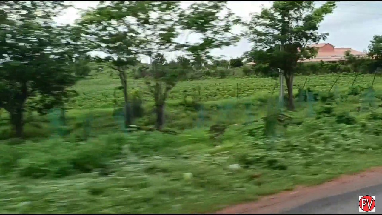 Travelling with Nature