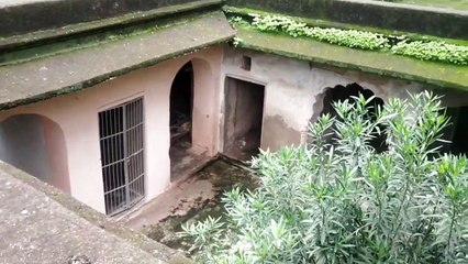 देवनगरी में प्राचीनकाल से बह रही है कृष्णभक्ति की धारा