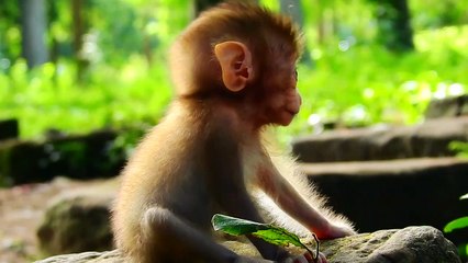 21=Today Rainbow look so adorable Kiss and love foster mum Libby..