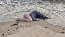 Kıyıya vuran çıplak kadın bedenini ceset sandılar, gerçek polis gelince anlaşıldı
