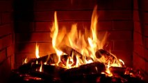 Relaxing Fireplace with Burning Logs and Crackling Fire Sounds for Stress Relief