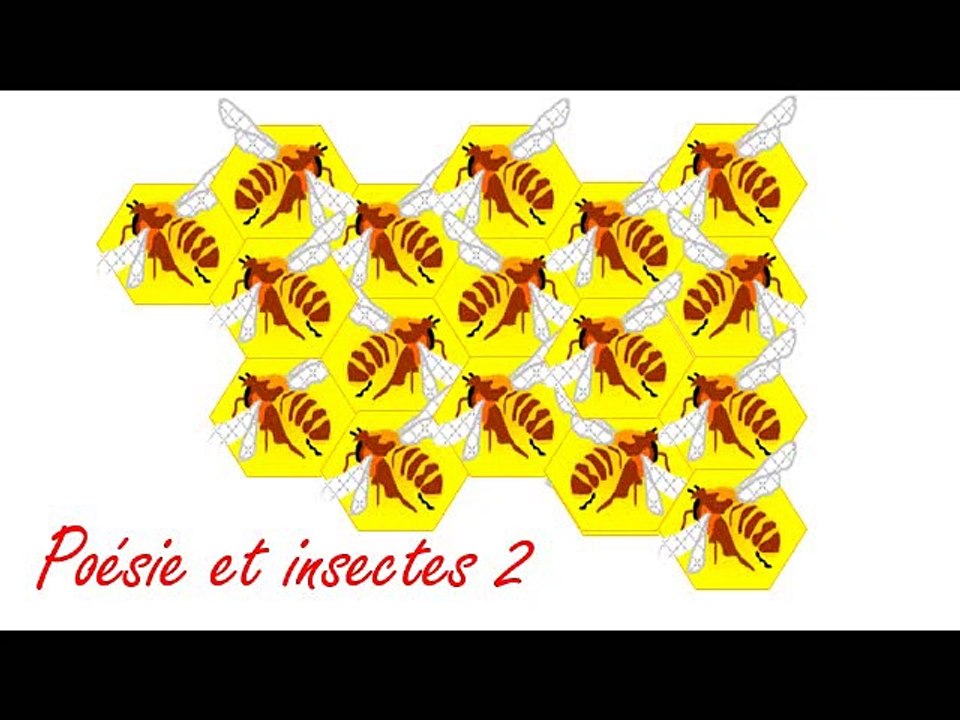 Poésie et Insectes 2