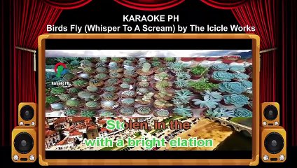 The Icicle Works Birds Fly Whisper To Scream Karaoke PH
