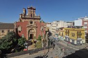 El ficus centenario de Triana: Todas las ramas de una polémica que enfrenta al ecologismo con la Iglesia