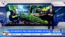 Dos muertos tras caída de un árbol en Italia