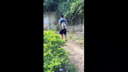 Funny hilarious cat complition | best of July 2022| satisfying animal fun zone