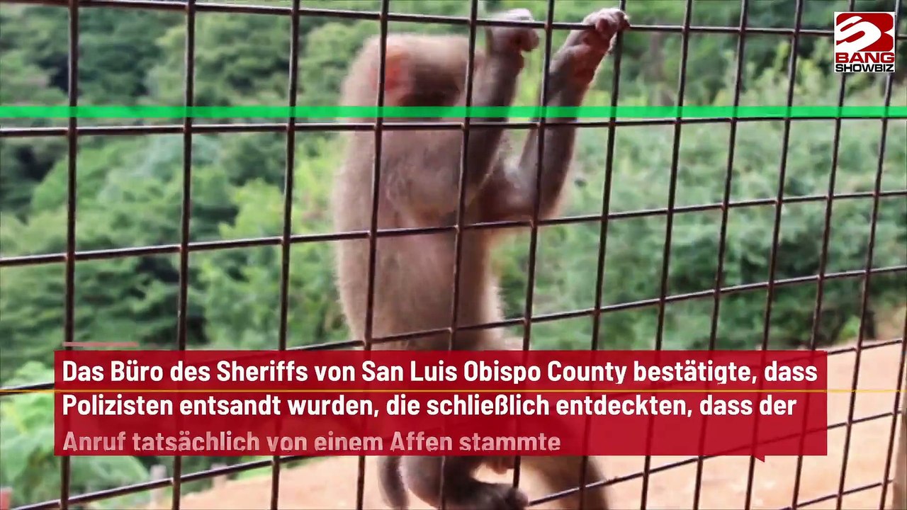 Affe tätigt Notruf aus einem kalifornischen  Zoo