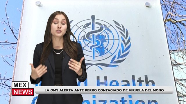 LA OMS ALERTA ANTE PERRO CONTAGIADO DE VIRUELA DEL MONO