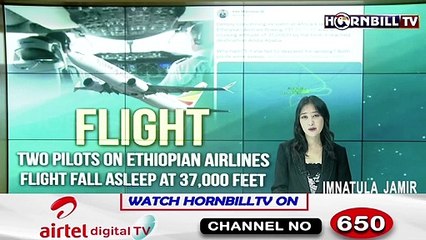 Plane fails to descend as pilots "fall asleep" during flight