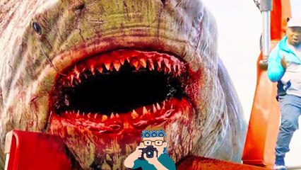 20 Scary Shark Sightings That Might Just Be Megalodon