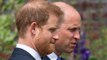 Met Police officer investigating Princess Diana’s death recalls Prince Harry and Prince William chat