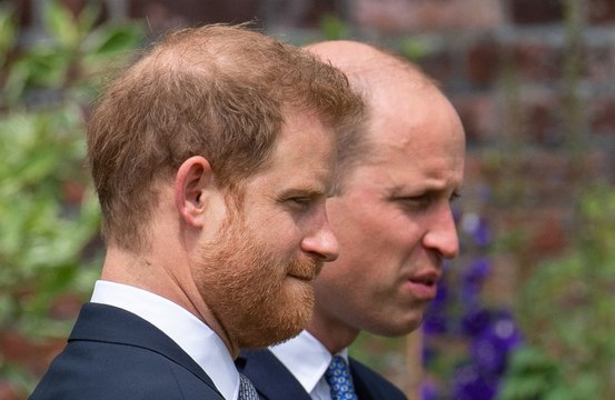 Met Police officer investigating Princess Diana’s death recalls Prince Harry and Prince William chat