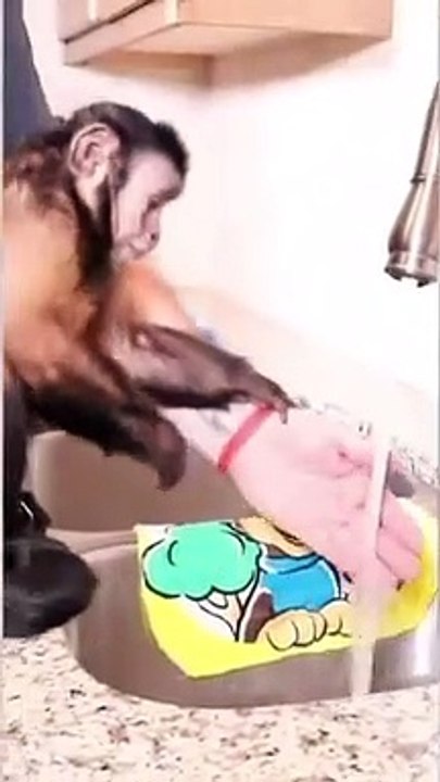 Monkey Bath Time! #monkey #bathtime #fun