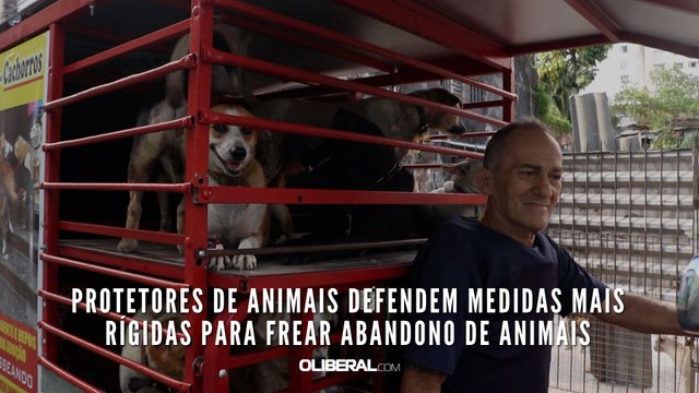Protetores de animais defendem medidas mais rígidas para frear abandono de animais