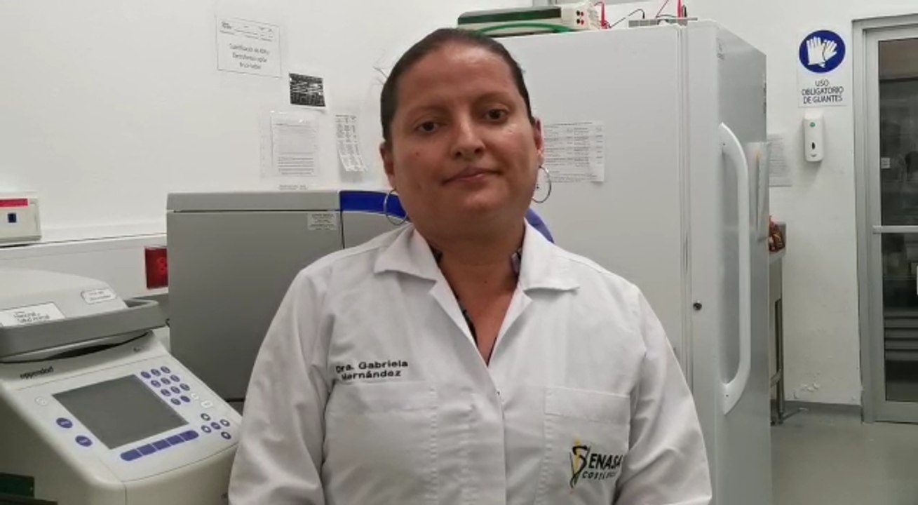 ext-declaraciones-gabriela-hernandez-190822
