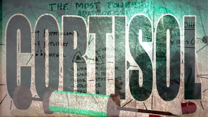 The Most Powerful ADAPTOGEN in the World By Dr Burg