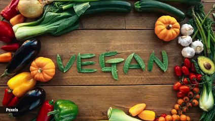 What If Your ONLY Protein Source Was EGGS -Dr Burg