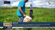Brasil: Sindicatos de trabajadores agropecuarios denuncian despidos que favorecen intereses privados