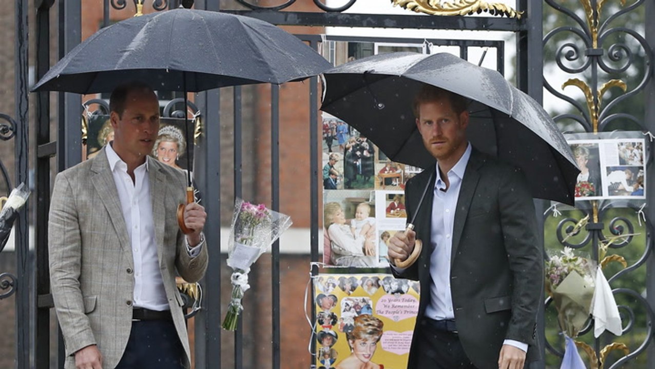 Polizeichef spricht über gespräch mit william und harry nach lady dis tod