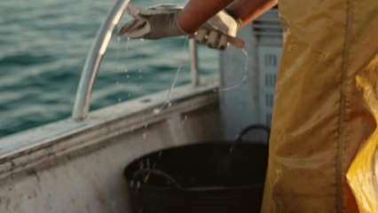 Covid-19: China is testing live fish for Covid-19 as cases spread