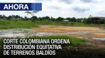 Corte ordena distribución equitativa de terrenos baldíos - 19Ago - VPItv