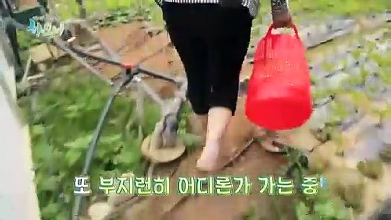 [하모니] 산골 마을 똑순이 수경 씨의 여름나기 - 2부