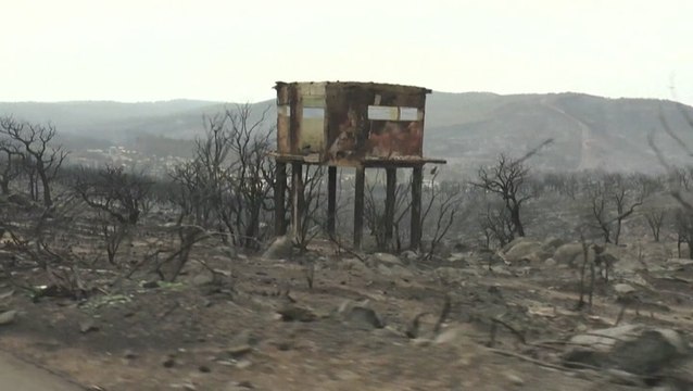 Deadly wildfires bring catastrophe to drought-stricken Algeria