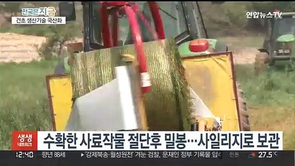 수입 의존 '건초 사료'…생산기술 국산화 성공