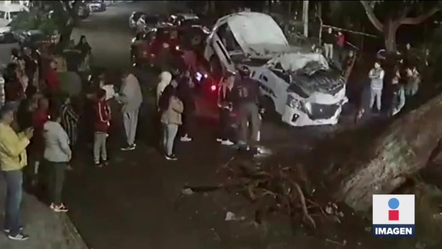 Exigen justicia para chofer de combi que murió aplastado por un árbol en Tlalnepantla