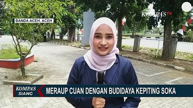 Raup Cuan dengan Budidaya Kepiting Soka: Omzet Capai Puluhan Juta per Bulannya!