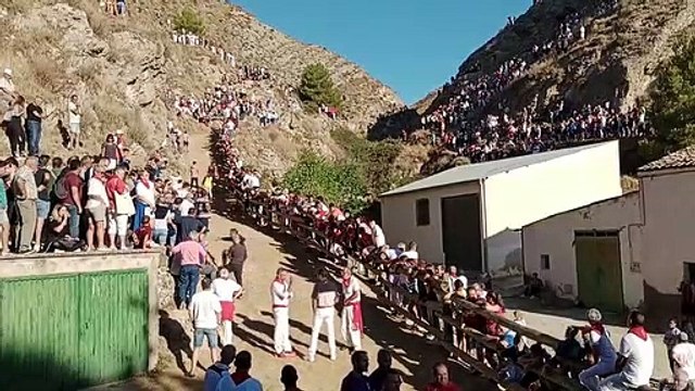 7º encierro del Pilón de Falces 20/08/2022