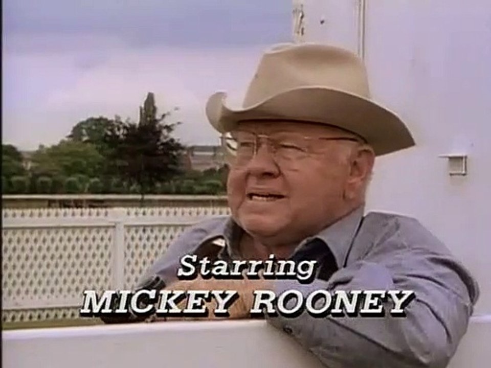 Black, der schwarze Blitz Staffel 2 Folge 14 HD Deutsch