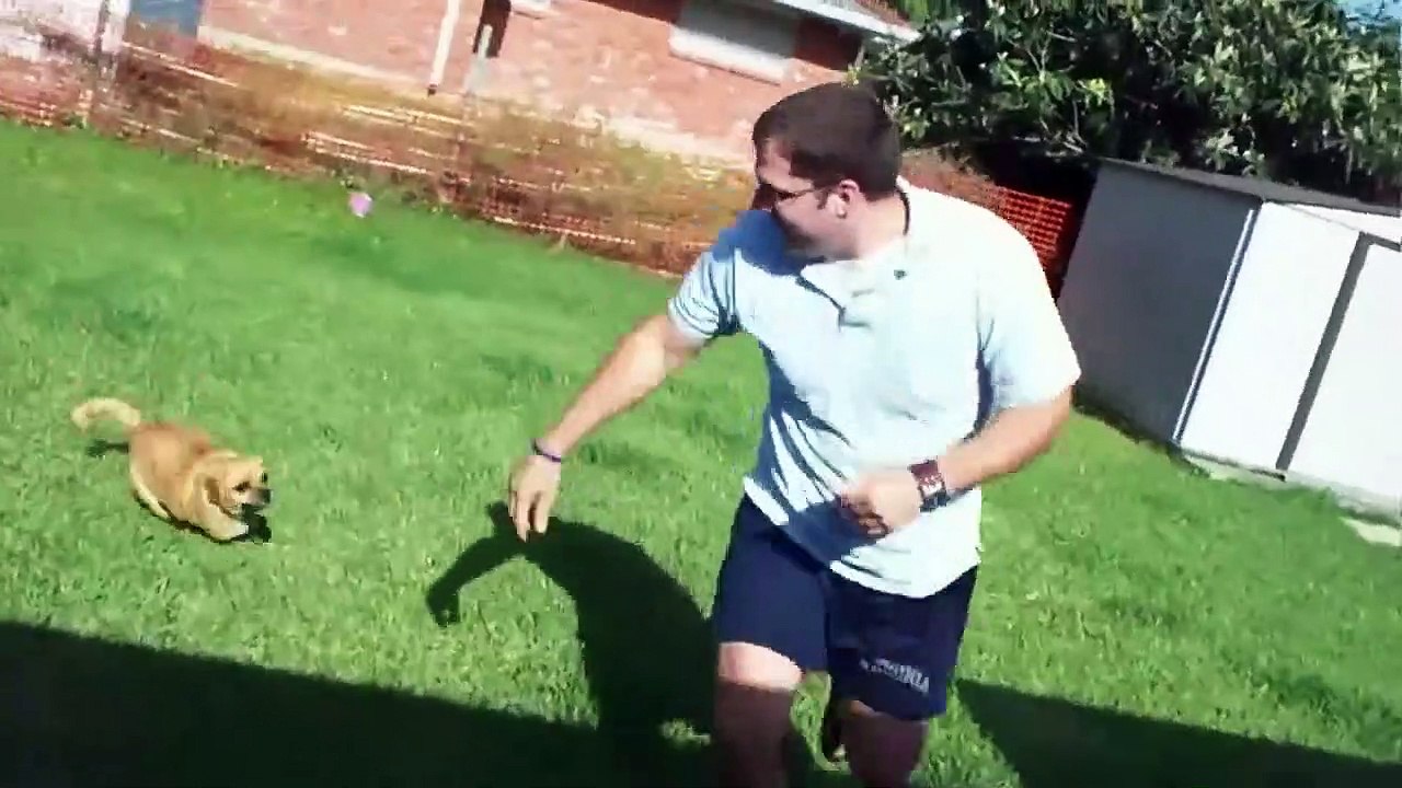 Bad Dog! Staffel 1 Folge 1 HD Deutsch