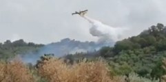 Incendi in Calabria, Canadair in azione a Curinga e Isola di Capo Rizzuto (20.08.22)