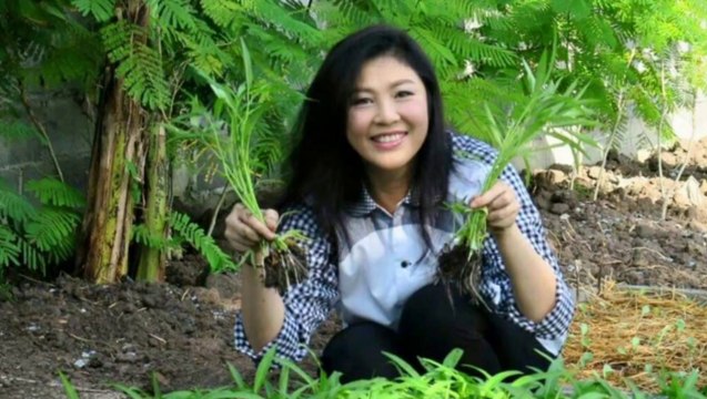 Ông Kỹ Sư Làm Phim Về Nữ Thủ Tướng Đất Thái Xinh Đẹp Yingluck Shinawatra | 1