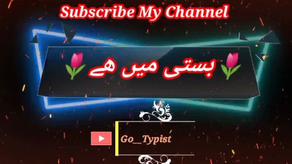 Basi mi khai | بستی میں ھے | go__typist