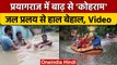 Prayagraj Flood: Ganga Yamuna के बढ़ते जलस्तर में डूब गए घर और खेत | वनइंडिया हिंदी |  *News