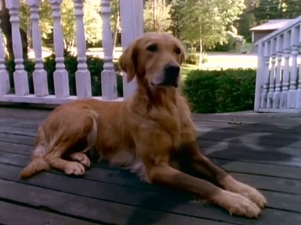 Gänsehaut - Die Stunde der Geister Staffel 2 Folge 16 HD Deutsch