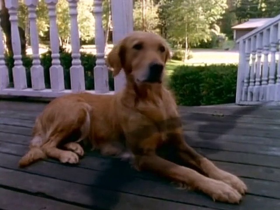 Gänsehaut - Die Stunde der Geister Staffel 2 Folge 17 HD Deutsch