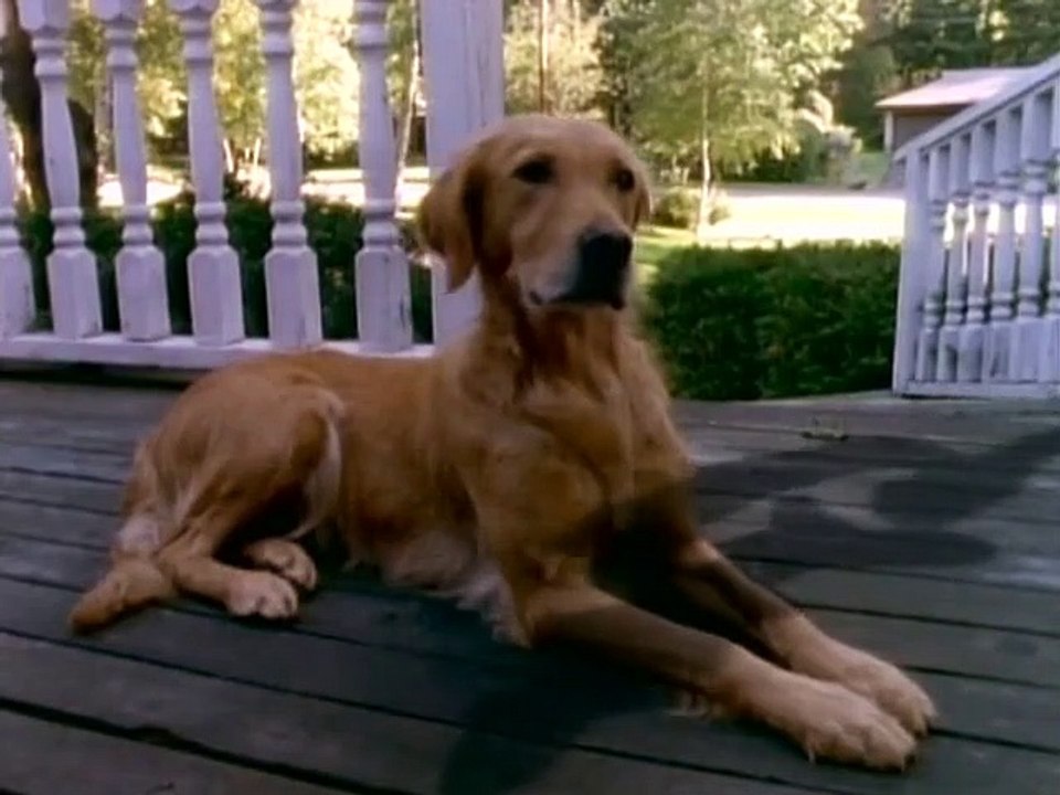 Gänsehaut - Die Stunde der Geister Staffel 2 Folge 18 HD Deutsch