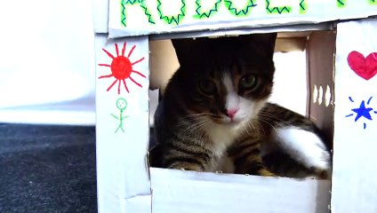 Are U at Home, Rudolph