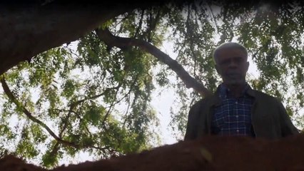 Marvel's Agents of S.H.I.E.L.D. Staffel 1 Folge 20 HD Deutsch